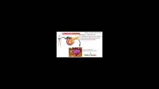 BIOLOGY STD10 #21/09/20
