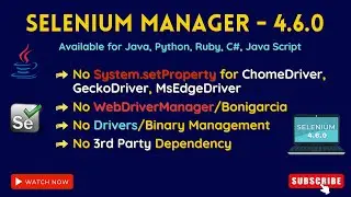 Selenium Manager 4.6.0 | No Need To Setup Any .exe File | No System Property | No WebDriverManager