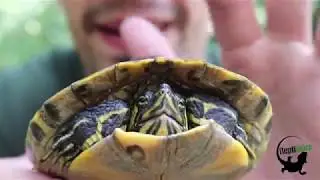 Vidéo 100 abonnés, on vous aime!