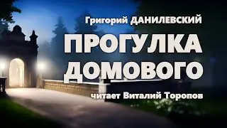 Григорий Данилевский. Прогулка домового.