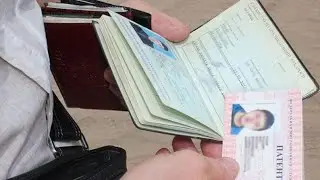 #МИГРАНТЫ