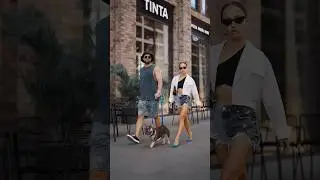 Семейка 😍 #семья #shorts #dog