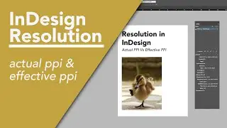 Resolution (Effective PPI vs Actual PPI) and Resizing Images - Adobe InDesign 2024 Tutorial