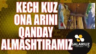Kech kuzda ona ari alishtirsa bo'ladimi? Mijozlar xonadonida