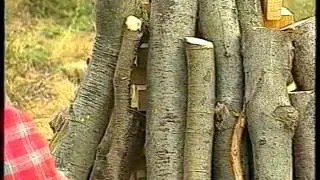 il boscaiolo ed il carbone anni 80