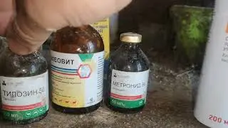 Ветпрепараты с Озона, и ещё что с Озона купил для авто