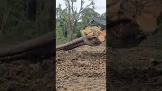 748Lll Stepping Thru Soft Ground
