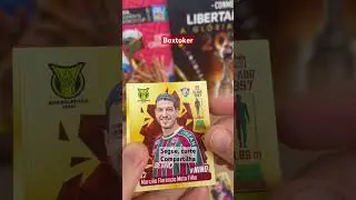 7 de agosto de 2023
