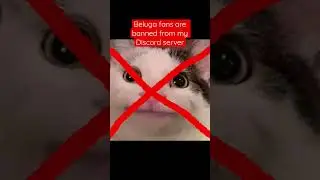 Change your pfps or you can’t join my Discord 
