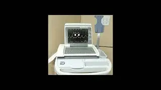 Deltarune [BIG SHOT] on a EKG machine