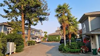 Salt Spring Island, Canada - Palm Trees. Trachycarpus fortunei, Chamaerops humilis.