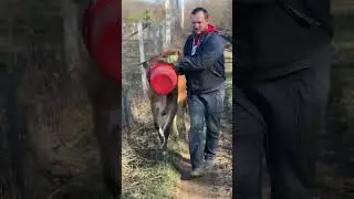 28 февраля 2024 г.
