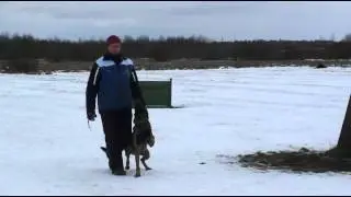 Pöörete treenimine