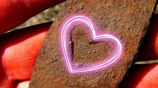 НАШЛИ СЕРДЦЕ В ЛЕСУ