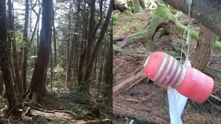 「輕生森林驚見掛滿快樂杯！」他上前一看紙條   揭開背後原因的真相！