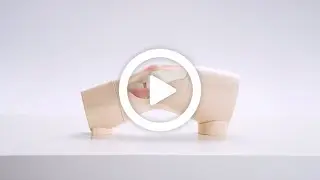 Knee Aspiration & Injection Trainer