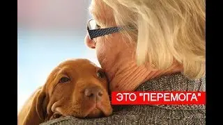 Это дно!!! Депутат предложил пенсионерке продать собаку чтоб оплатить коммуналку