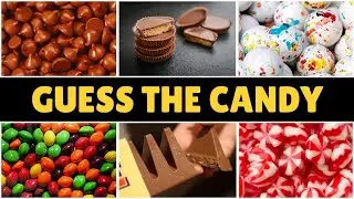 Guess The Candy 🍬🍫🍭 | How Many Candies Can You Guess?