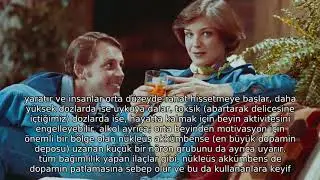 Alkol, Bir İnsanı Tam Olarak Nasıl Sarhoş Eder?