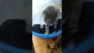 28 апреля 2023 г.