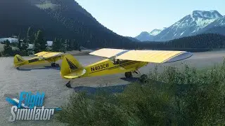 Microsoft Flight Sim 2020 - First Thoughts, and Multiplayer!