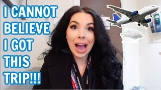 Flight Attendant Life - WORKING THE MOST SENIOR TRIP AT MY BASE?! 🤯