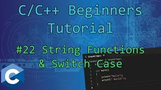 0x16 - String Functions & Switch Case (INI Parsing) | C/C++ Beginners Tutorial