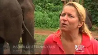 Disabled elephant retreat in Myanmar