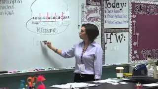 Biology Review - Translation and Transcription