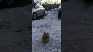Макдональд красиво ушел из России
