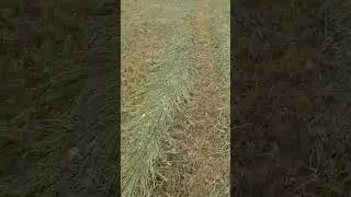 20 травня 2024 р.