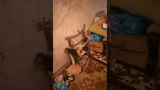 Кто в доме играет 1 месяц мейн-кун