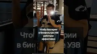 Чтобы бактерии в биофильтре УЗВ работали эффективно #система #узв  #акварост