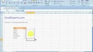 ExcelExperts.com - Excel Tutorial - Insert Alternate Blank Lines