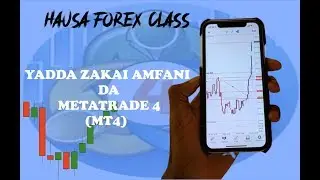 Hausa Forex Trading: Yadda zakai Amfani da MetaTrade 4 (MT4) da Hausa