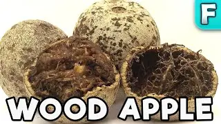 Wood Apple | Fruits You've Never Heard Of