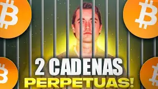 ASCENSO y CAIDA de SILK ROAD |  Adopción Masiva de BITCOIN | Ross Ulbricht