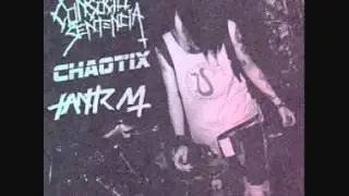 Chaotix - Punx Unite
