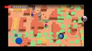 Customy w. brawl stars wygraj gemy