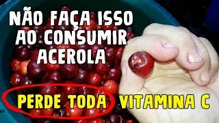 Não Faça isso ao Consumir Acerola Perde toda Vitamina C