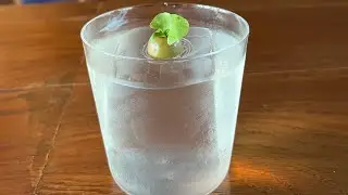 How we make our ice cube for Negroni, old fashioned etc.#dubai #mixology #artist #bar #cocktail