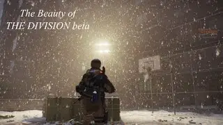 The Beauty of the Division - Prelude