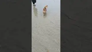 Taking a dip in beach fresh water spring