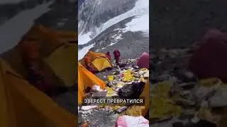 Новости экологии😳😡