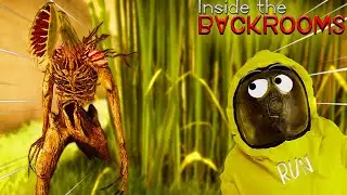 A Mysterious Place | Inside The Backrooms - Grass Rooms