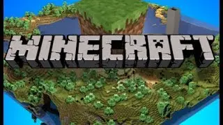 Проверка сервера VimeMc #1