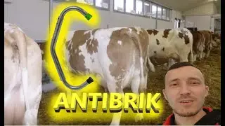 Mollarni oson HARAKATSIZLANTIRISH! Антибрык.