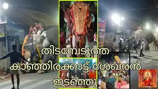 ആന ഇടഞ്ഞു |  കാഞ്ഞിരക്കാട്ട് ശേഖരൻ | Elephant Attack