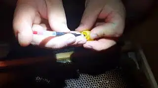 Прививка от племенной Карника. Часть 1