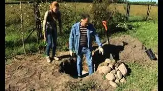 Посадка при грунтовых водах   уДачные советы
